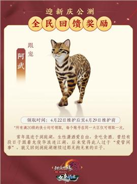 骑马的天龙八部私服